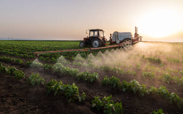 Pest Control Cost in West Freehold, NJ