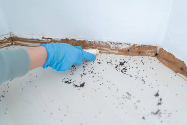 Best Affordable Pest Control Services  in West Freehold, NJ