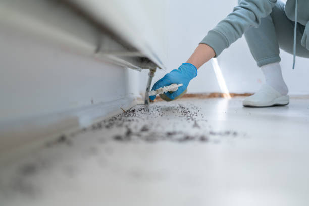 Best Affordable Pest Control Services  in West Freehold, NJ